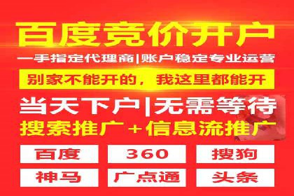 竞价排名案例分析：电商行业